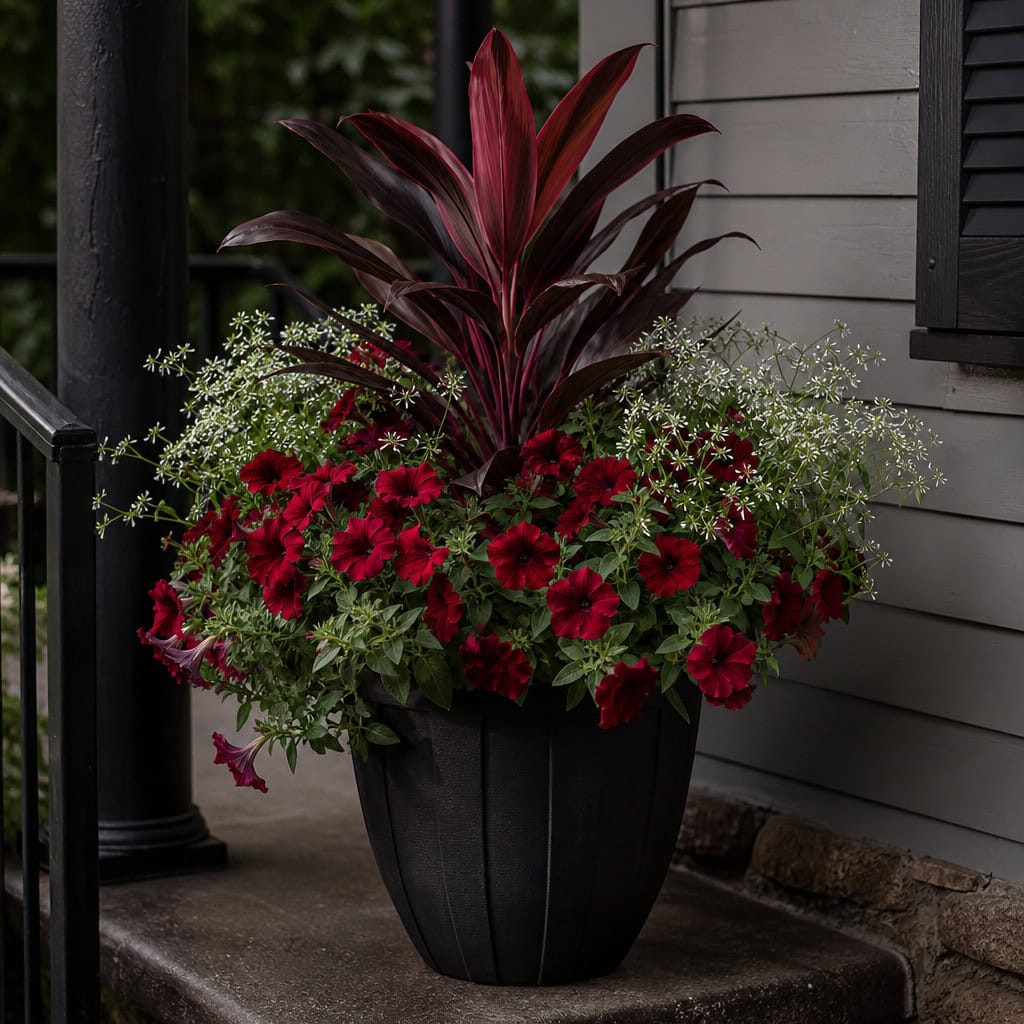 Ti Plant (Cordyline) + Burgundy Petunia + White Euphorbia