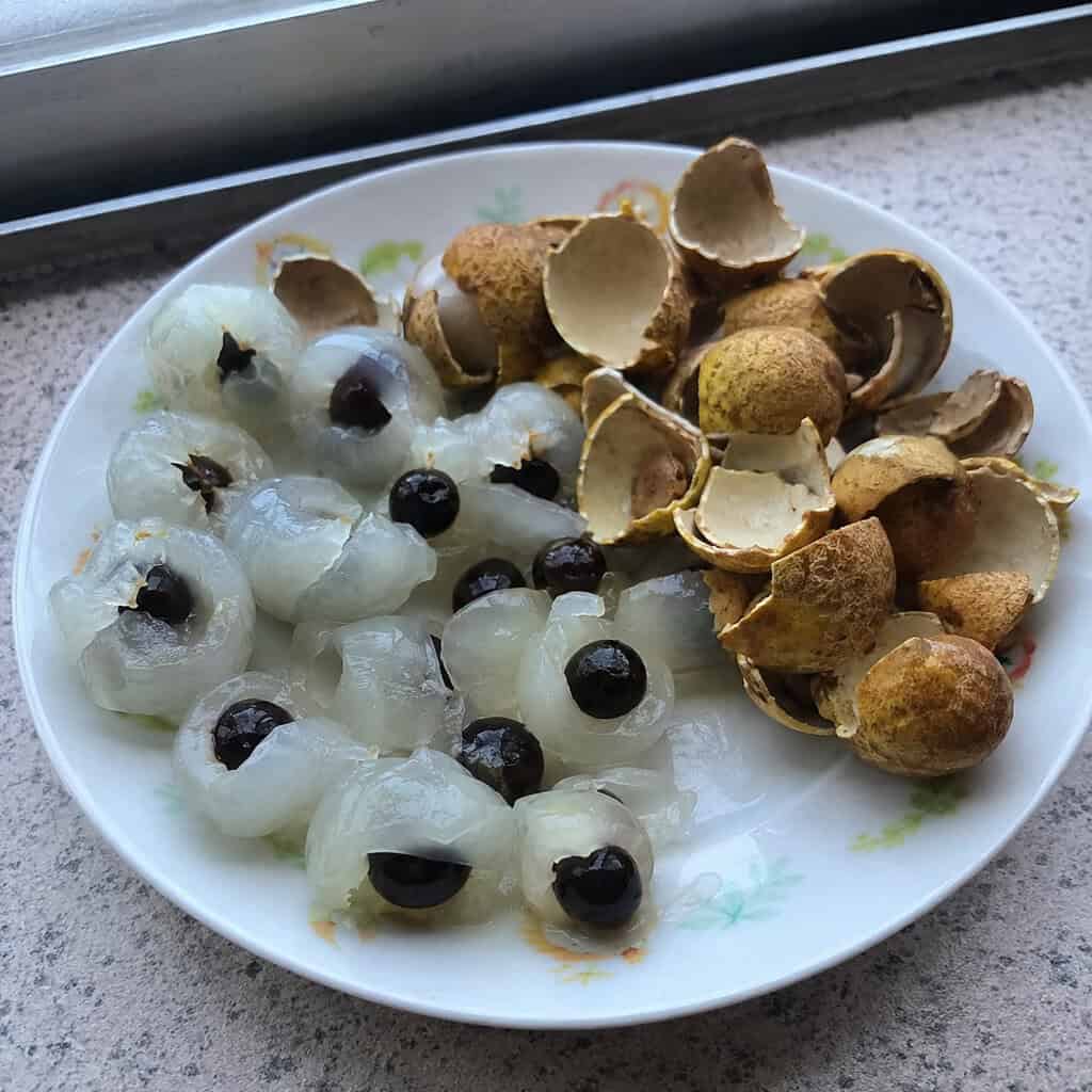 Longan Seed