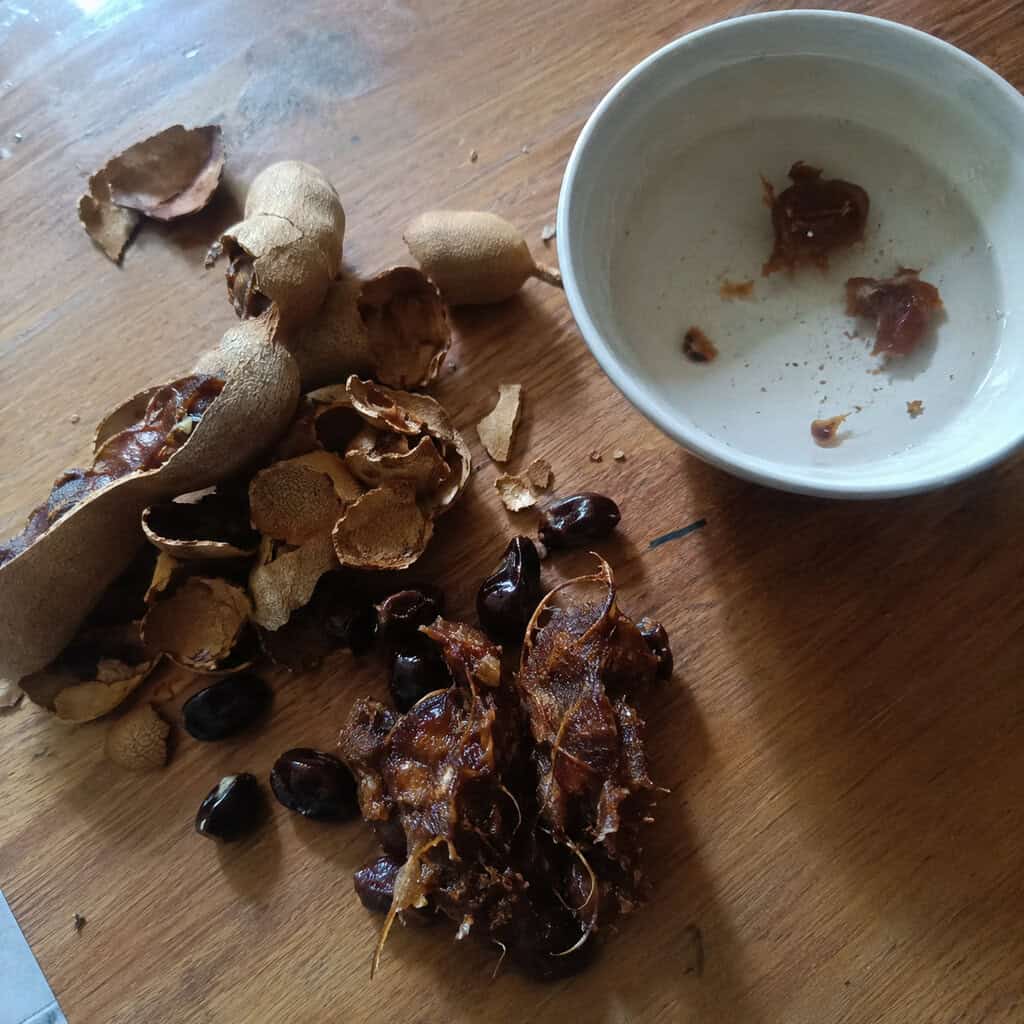 Tamarind Seed