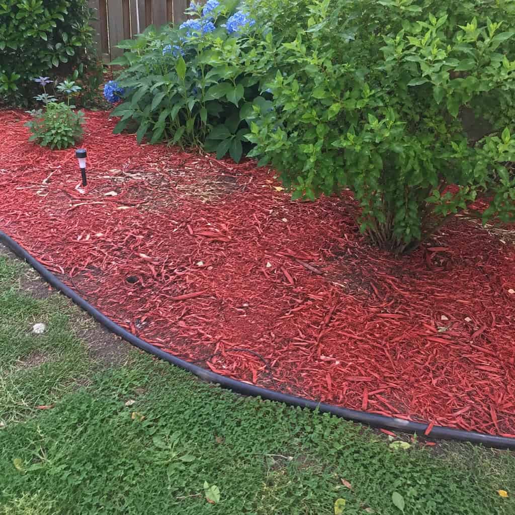 Reach for dyed jet-black or rusty-red mulch