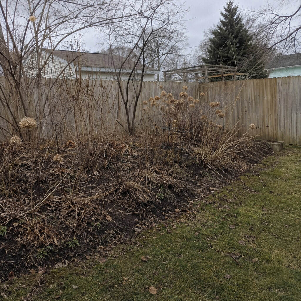 Design a yard with only one season of interest