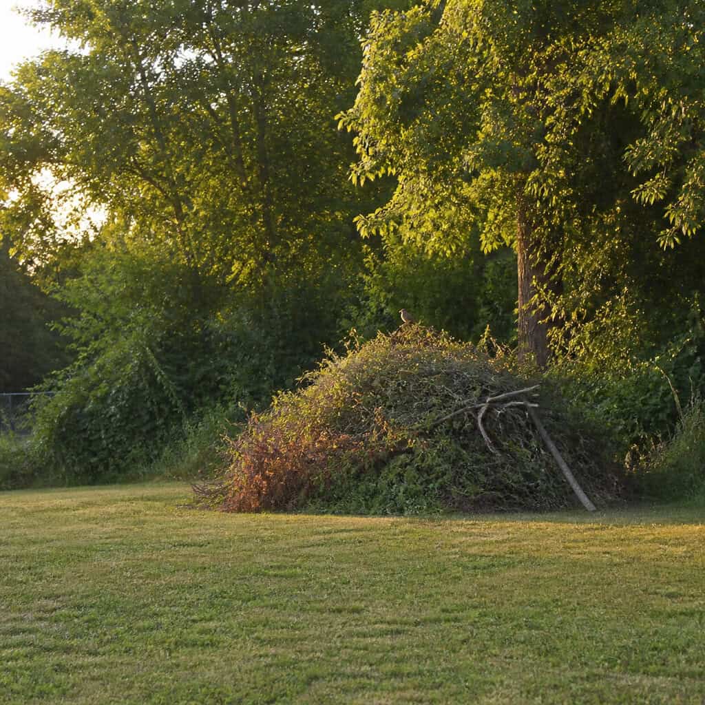 Hauling Away Every Branch and Clipping