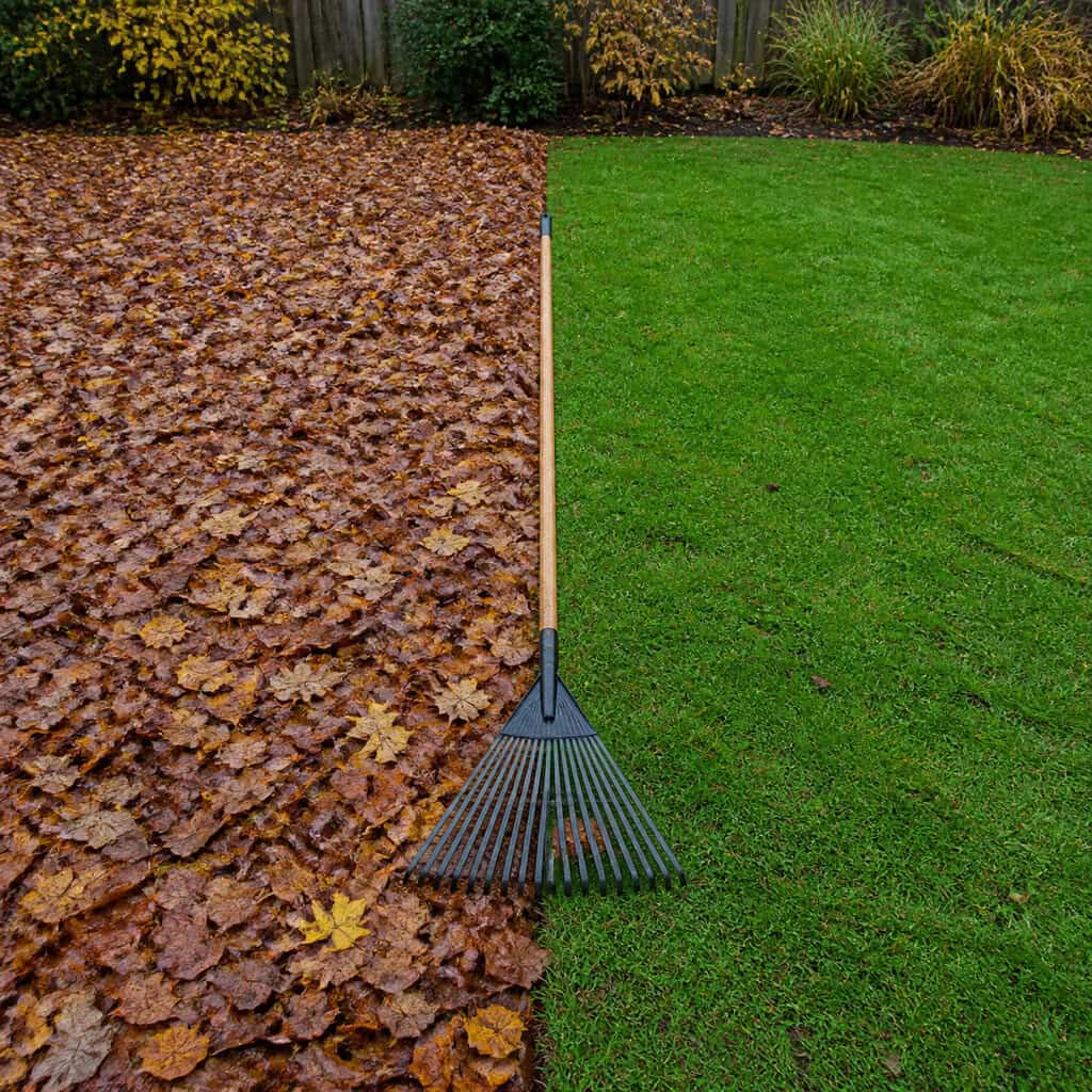 Stripping Every Leaf Off the Lawn Surface