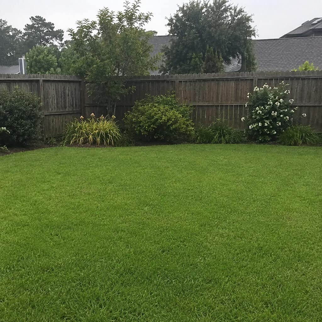Skip a defined focal point entirely