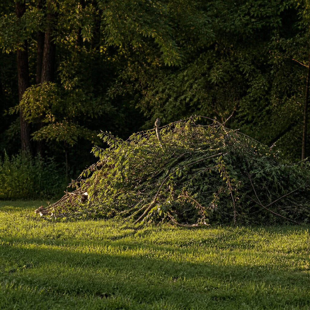Hauling Away Every Branch and Clipping