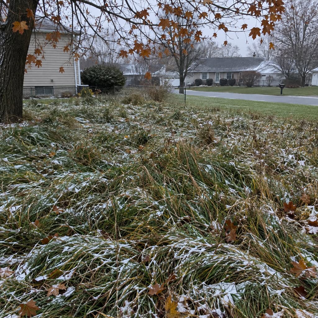 The Last Mow That Never Happened
