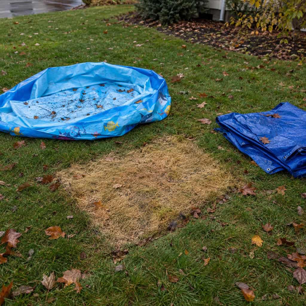 Stop Using the Lawn as a Staging Area