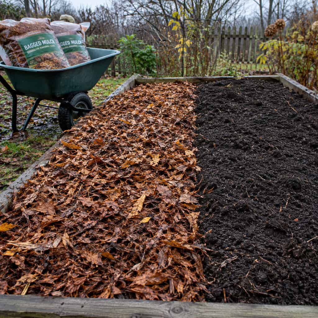 The fresh mulch top-dress