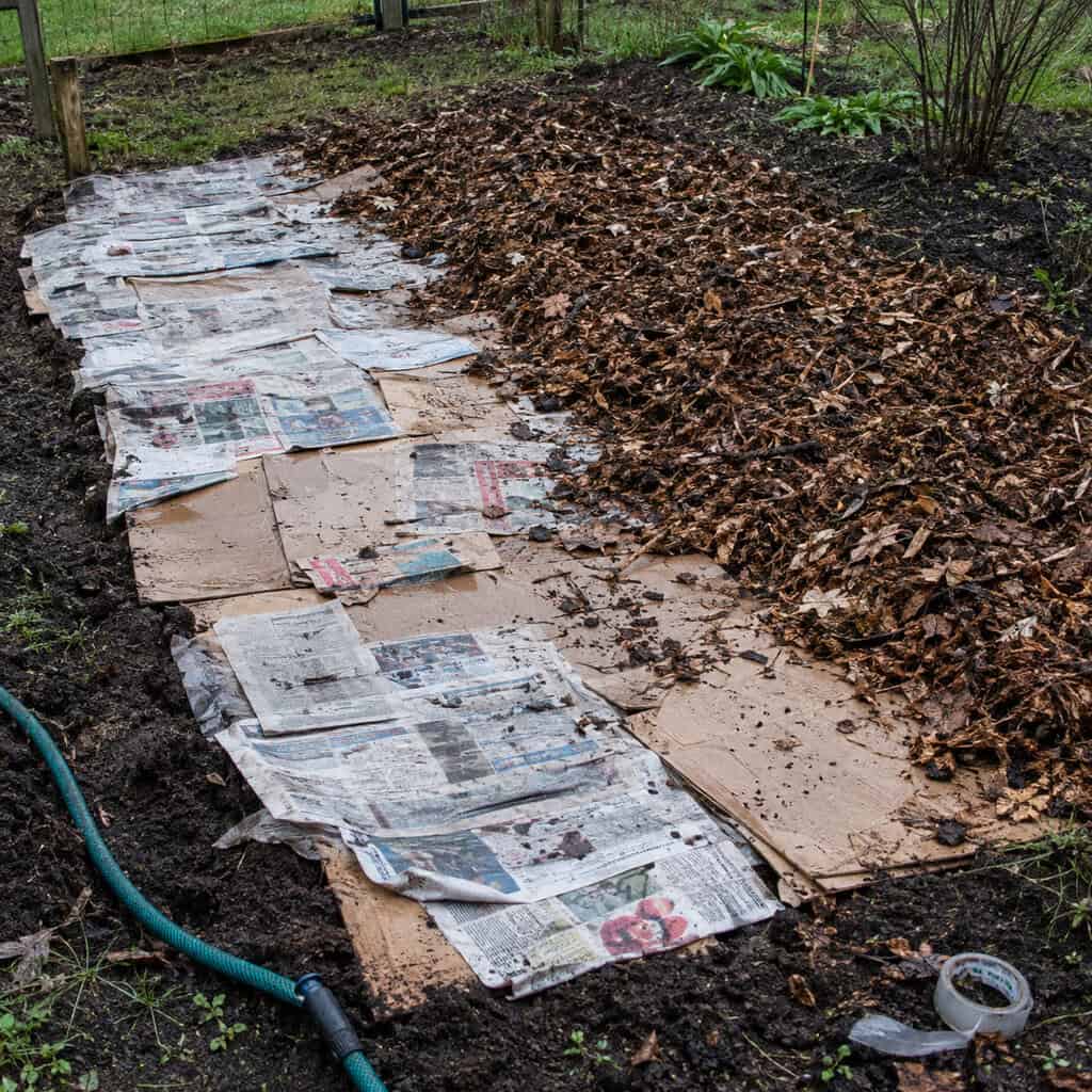 Newspaper and Flattened Boxes Under the Mulch