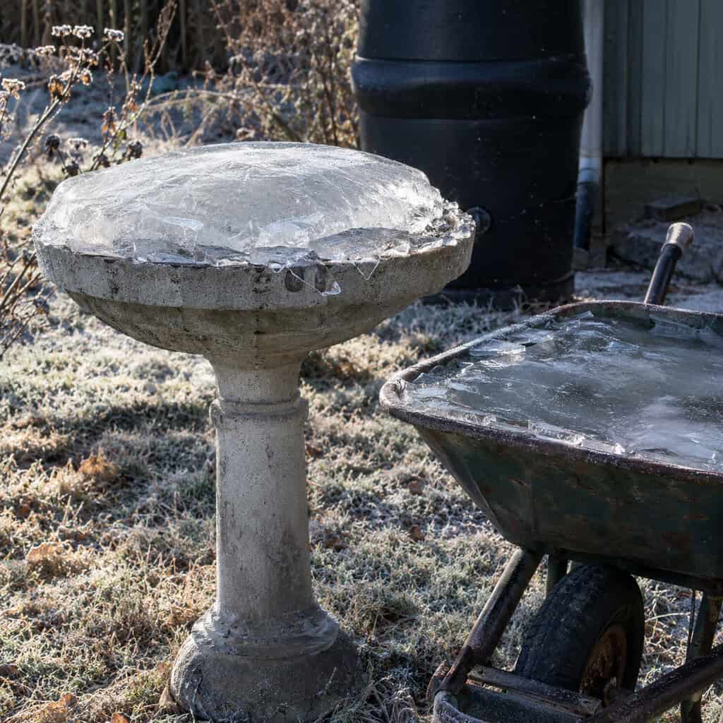 The Rain Barrel, Birdbath, and Wheelbarrow Left Full