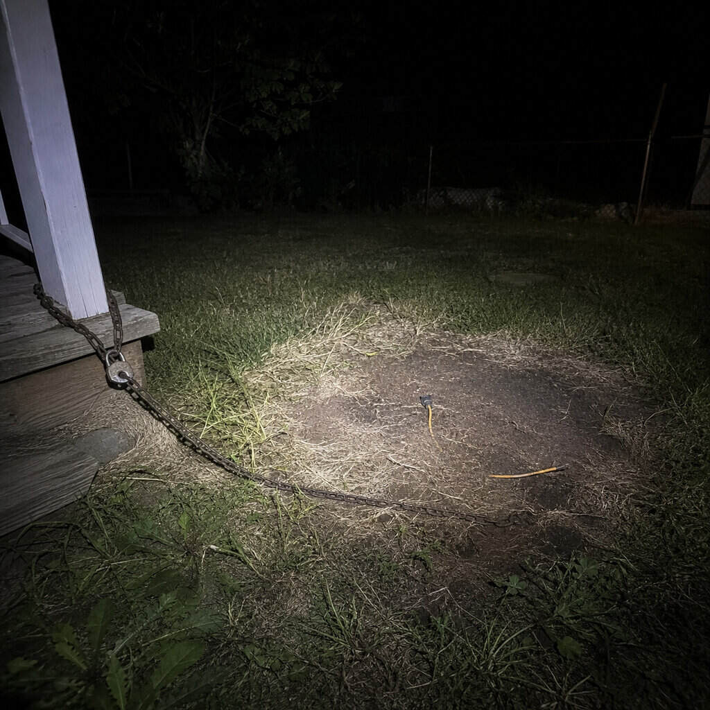 Nobody Steals It Off the Lawn