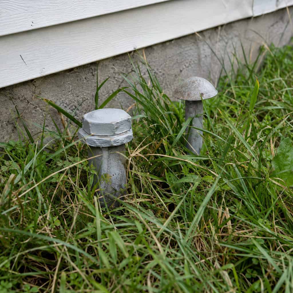 A Capped Fill Pipe and Vent Sticking Out of the Side Yard