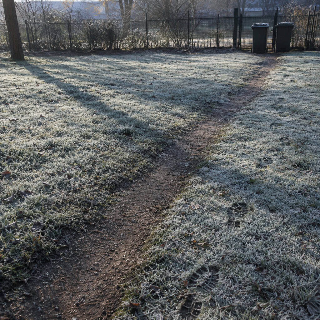 Wearing the Same Shortcut Across Frozen Turf