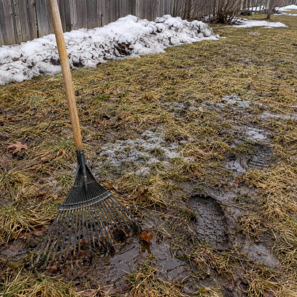Attacking the Soggy Lawn on the First Warm Saturday