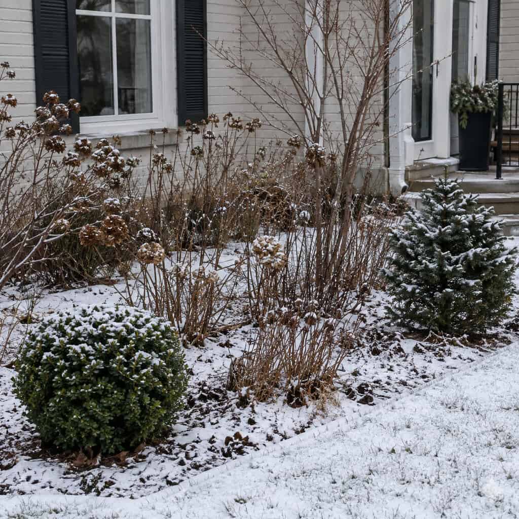 Add Evergreen Bones for Winter