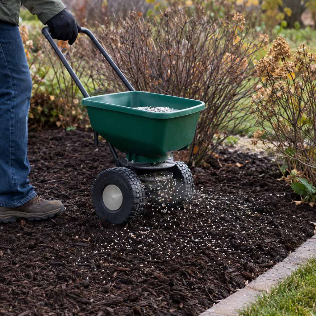 Pre-Emergent in the Beds for Winter Annual Weeds