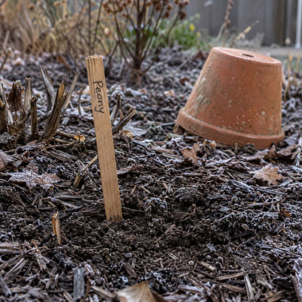 Stakes Marking Where the Late Sleepers Slept