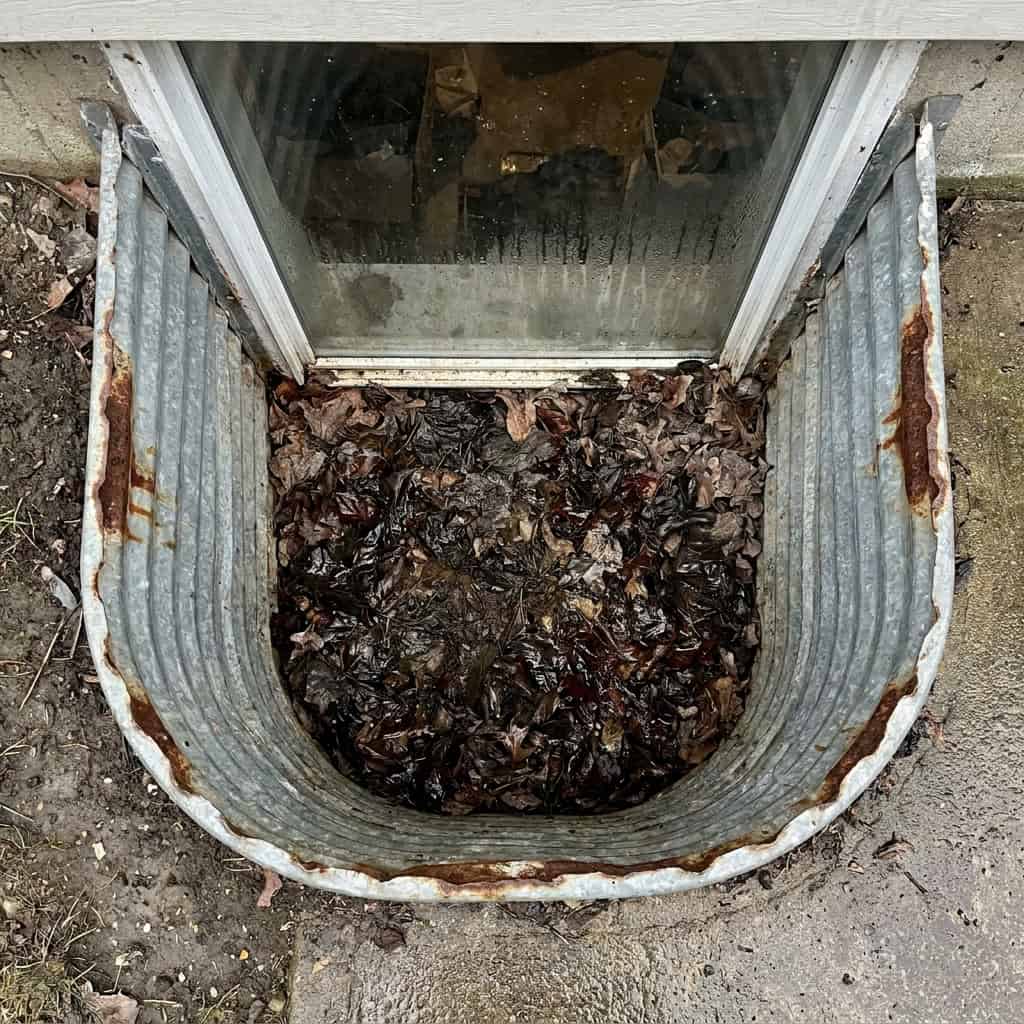 Window Wells Packed With Leaves and Rusted at the Lip
