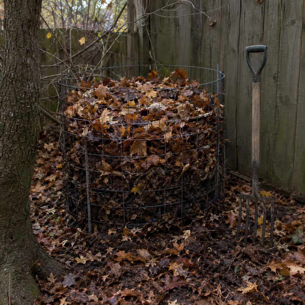The leaf pile they build instead