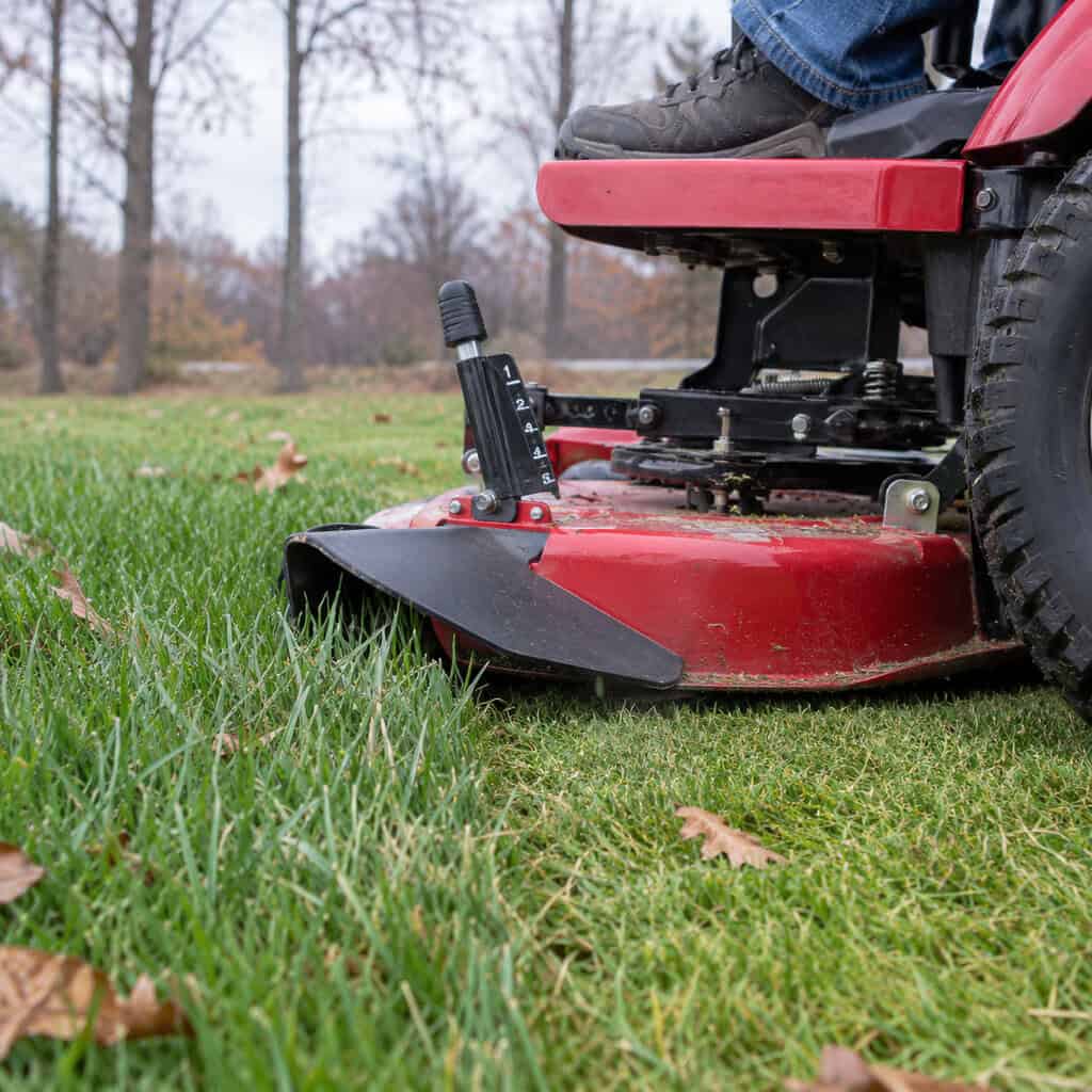 Take the Last Cut Shorter