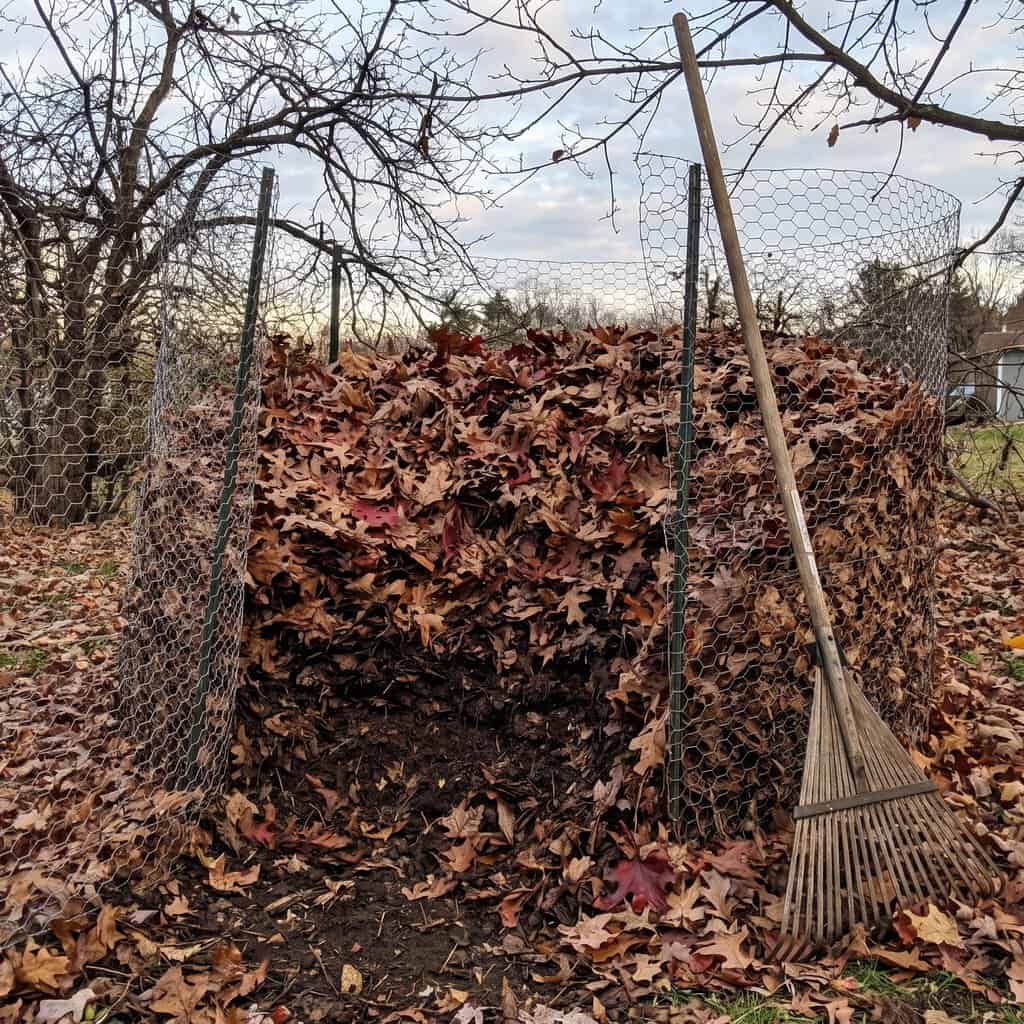 Raked Leaves Turned Into Leaf Mold