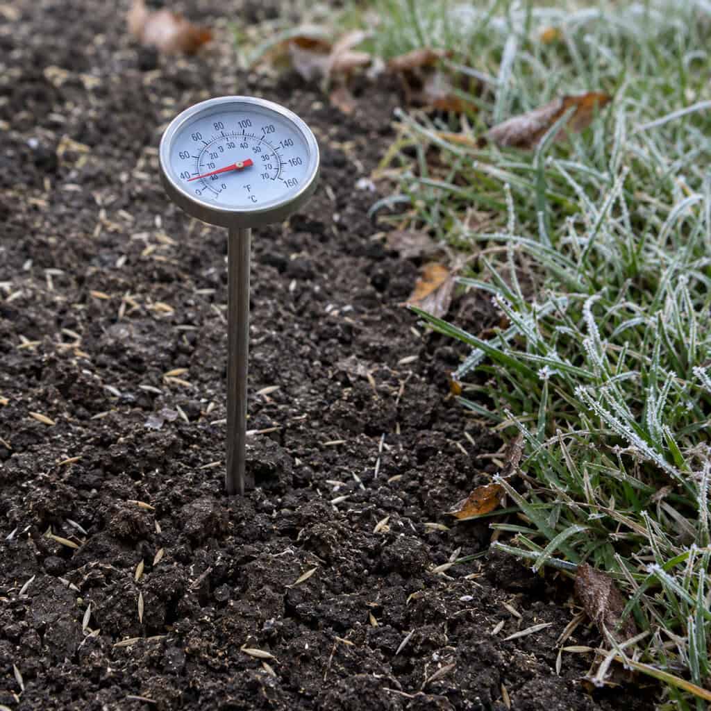 Stop Throwing Down Grass Seed After the Soil Drops Below 50 Degrees