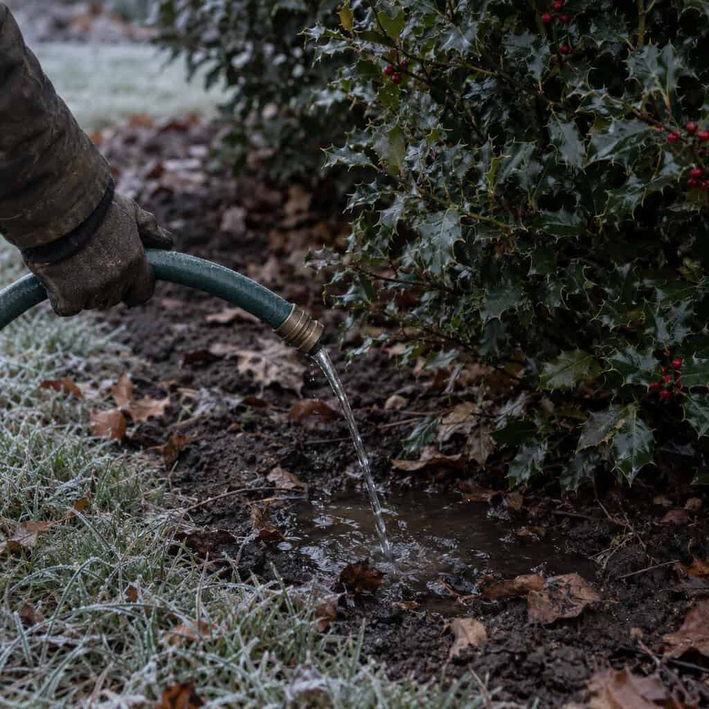 The Deep Soak Before the Ground Froze