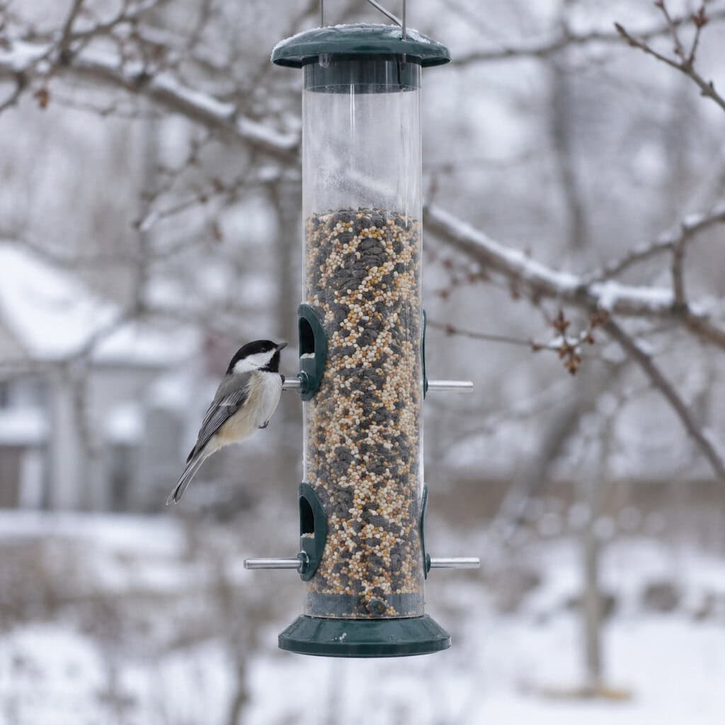 The Skinny-Perch Tube Feeder