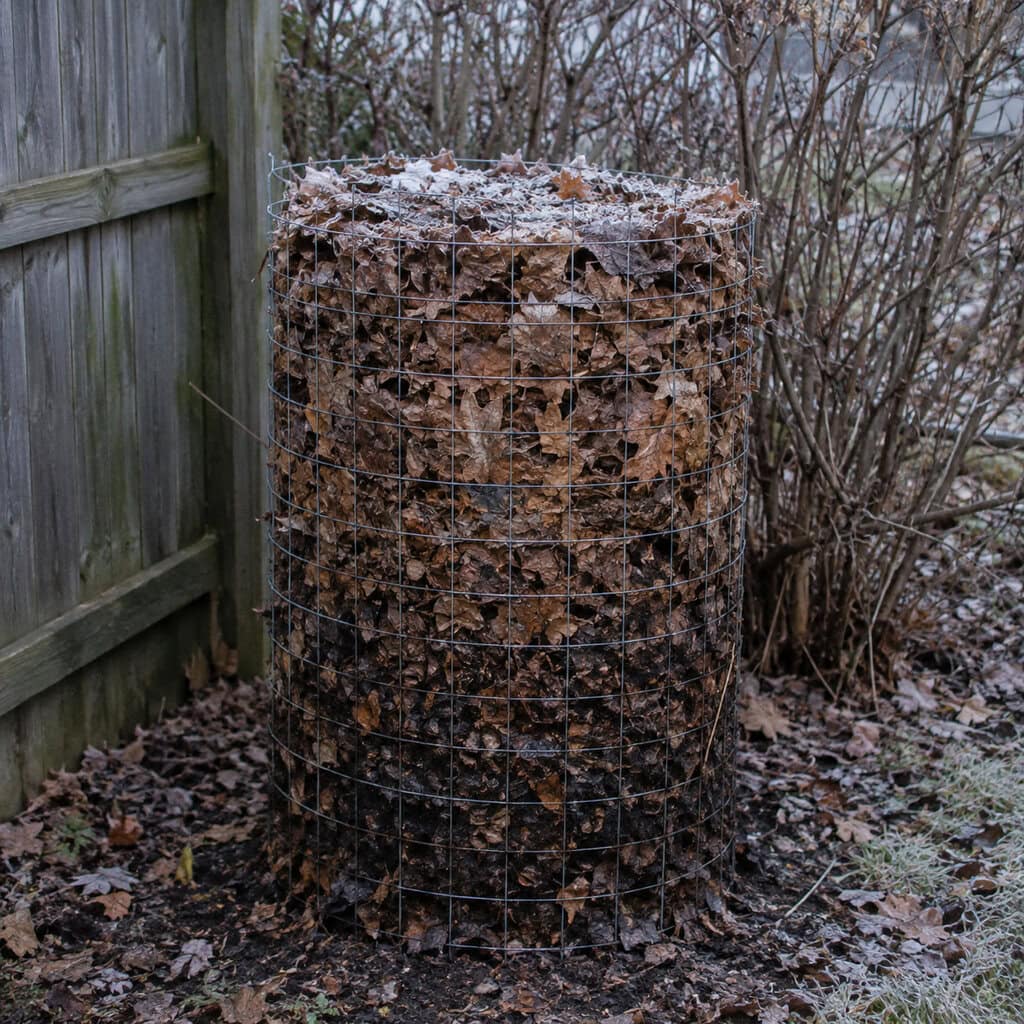 Build a Leaf Mold Pile and Walk Away