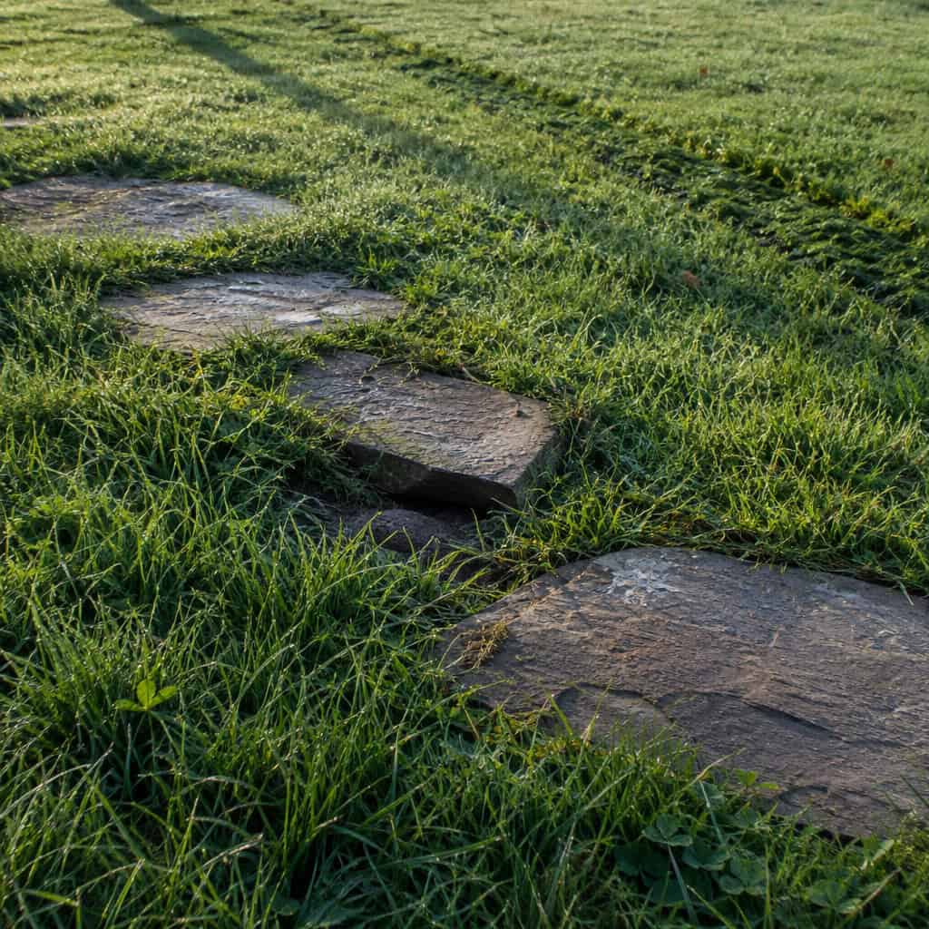 Stepping Stones Dropped Right on the Lawn
