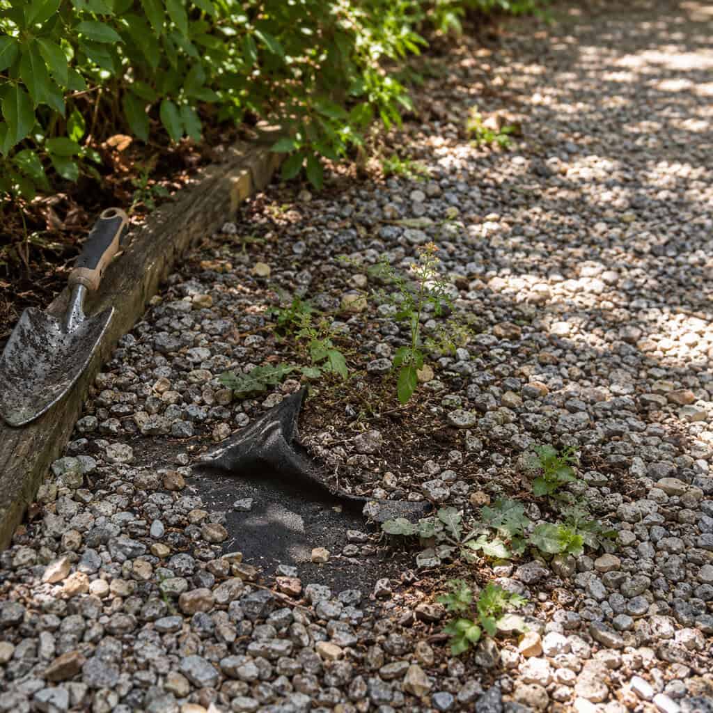 Landscape Fabric Under a Gravel Path