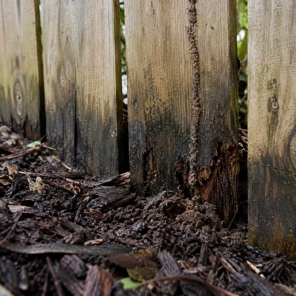 Pickets and Rails That Touch the Ground