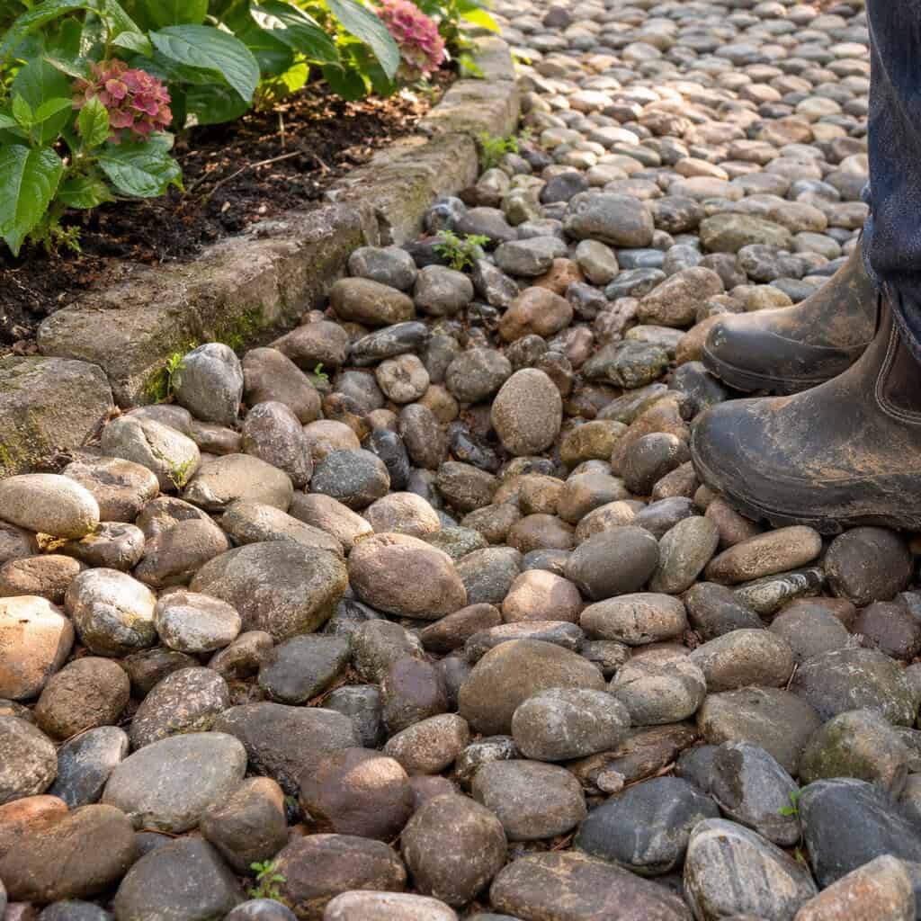 A Round River Rock Walkway