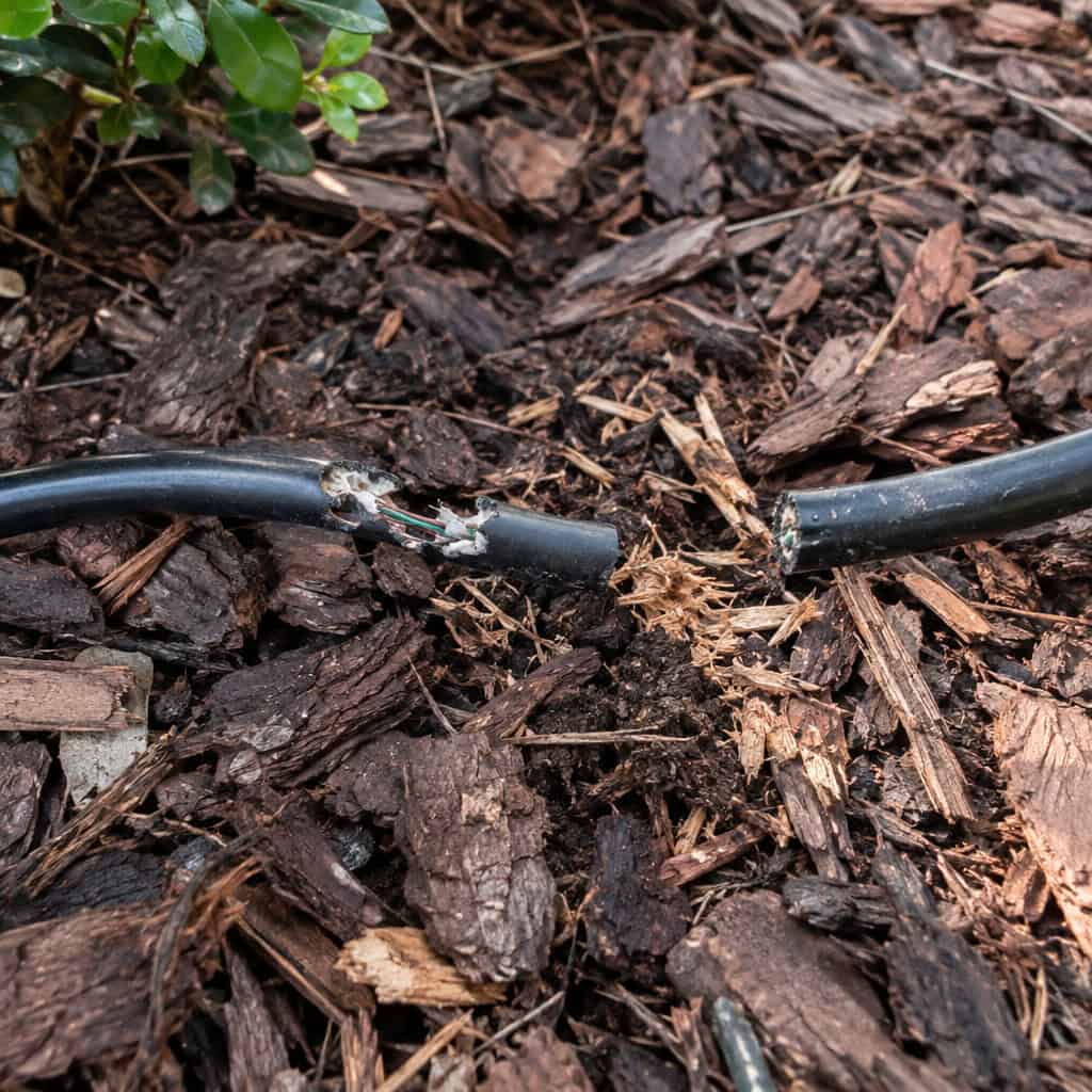 Cable Laid on Top of the Mulch
