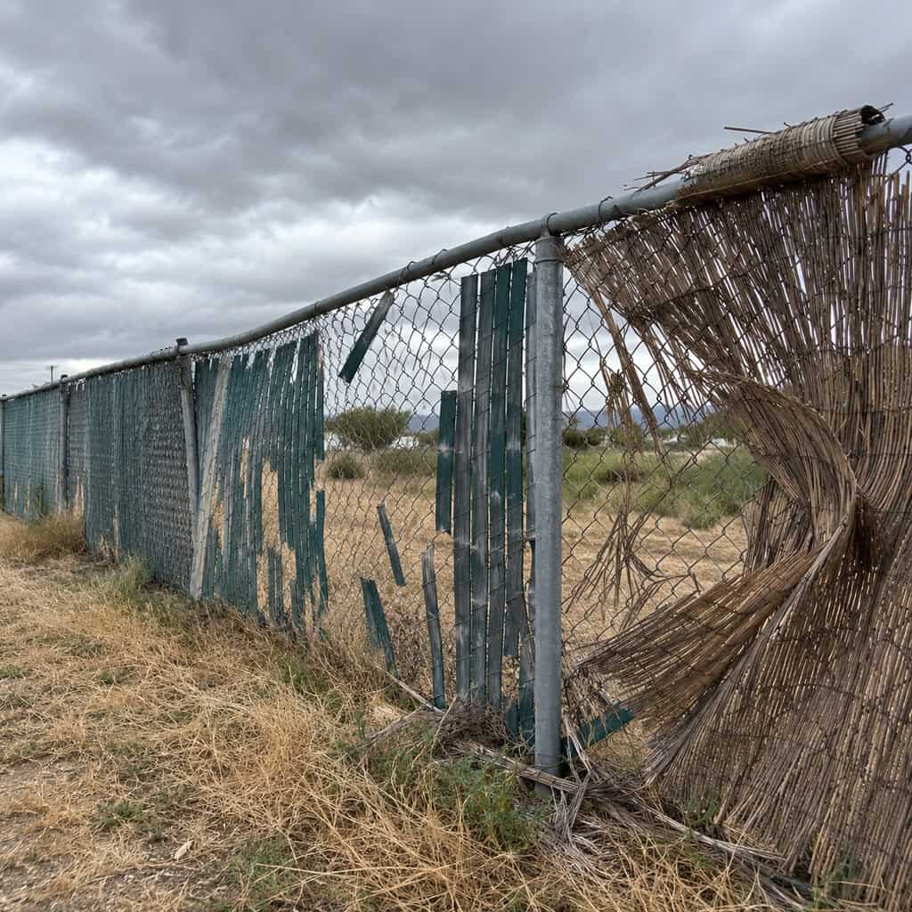 Screening Zip-Tied to Chain-Link