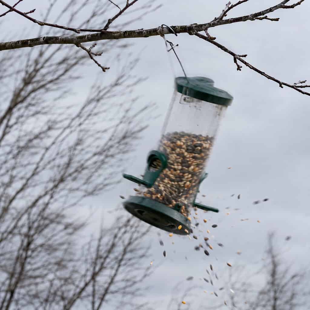 A Lightweight Feeder That Swings In The Wind