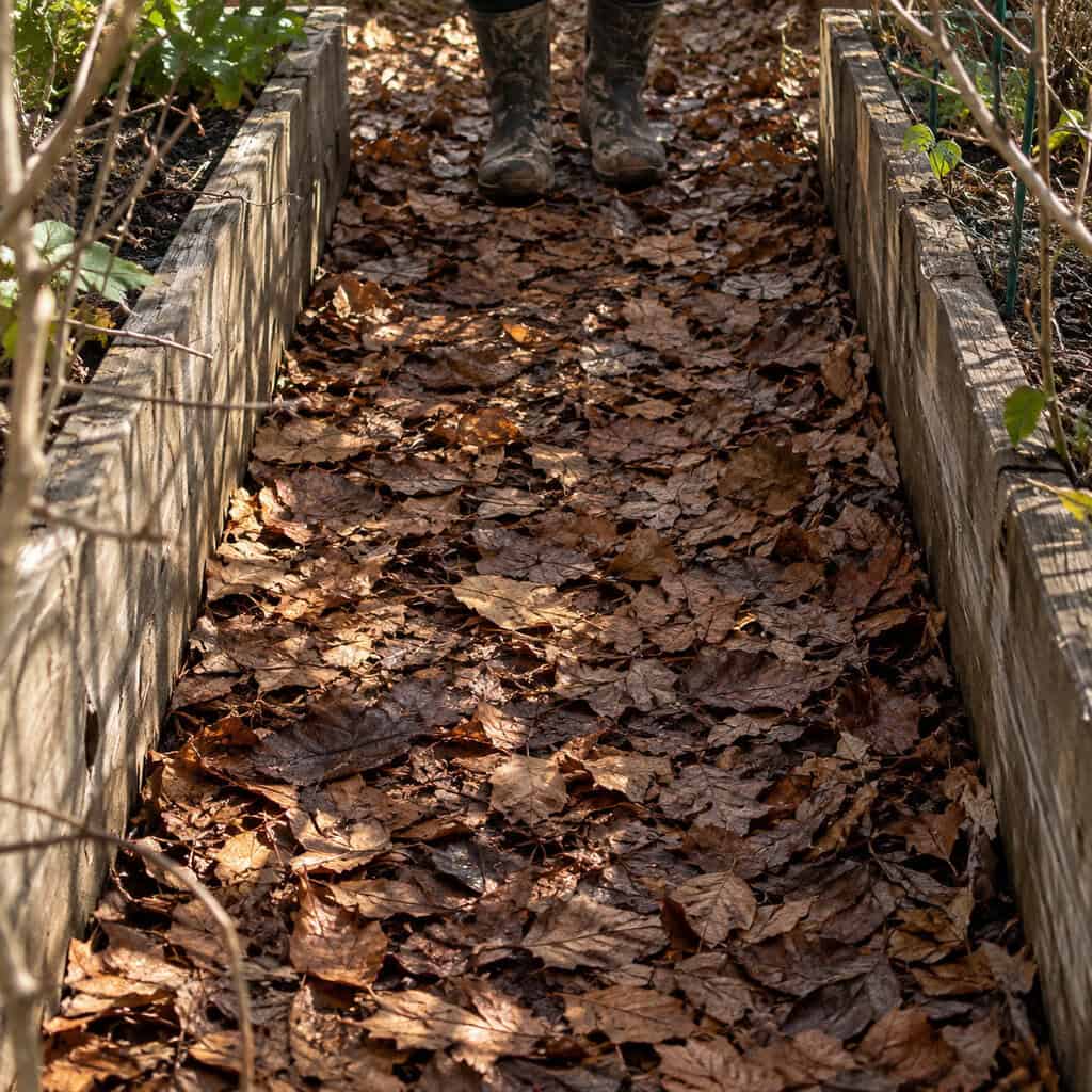 Mulch the Paths, Not Just the Beds