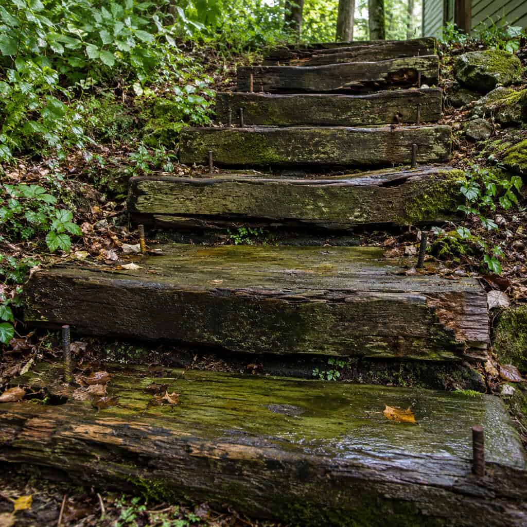 Railroad Ties and Timber Step Risers