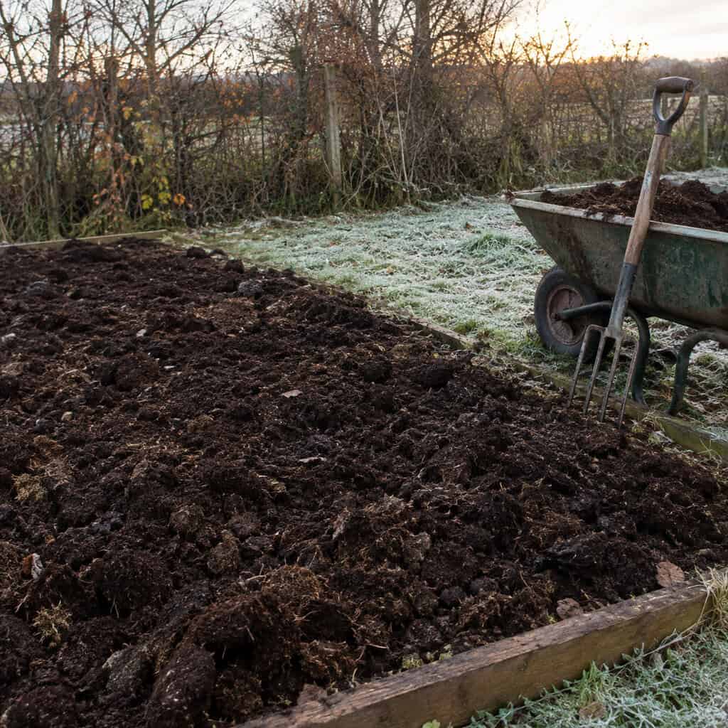 A Load of Aged Manure Spread and Left Rough
