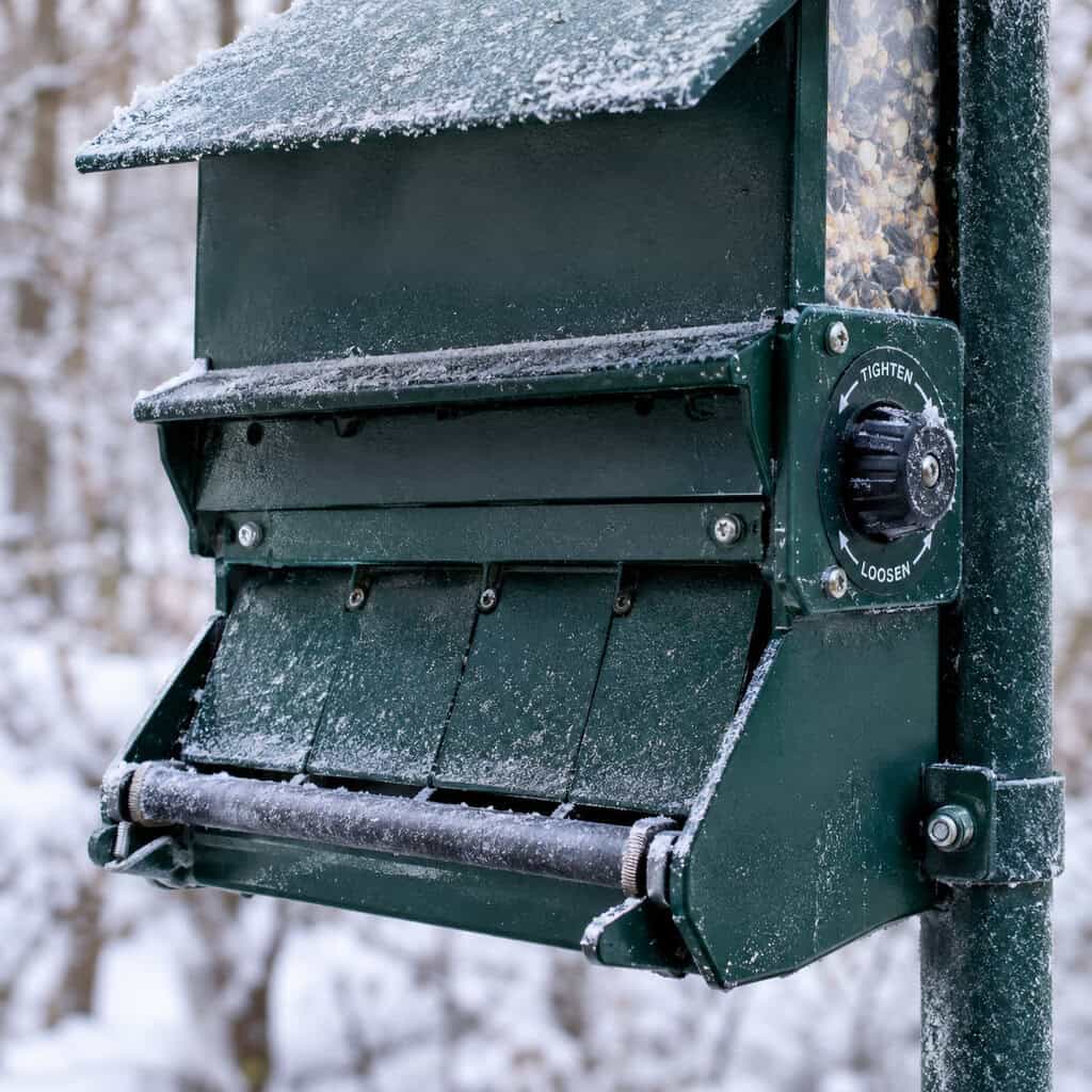 A Weight-Triggered Feeder Set Too Light