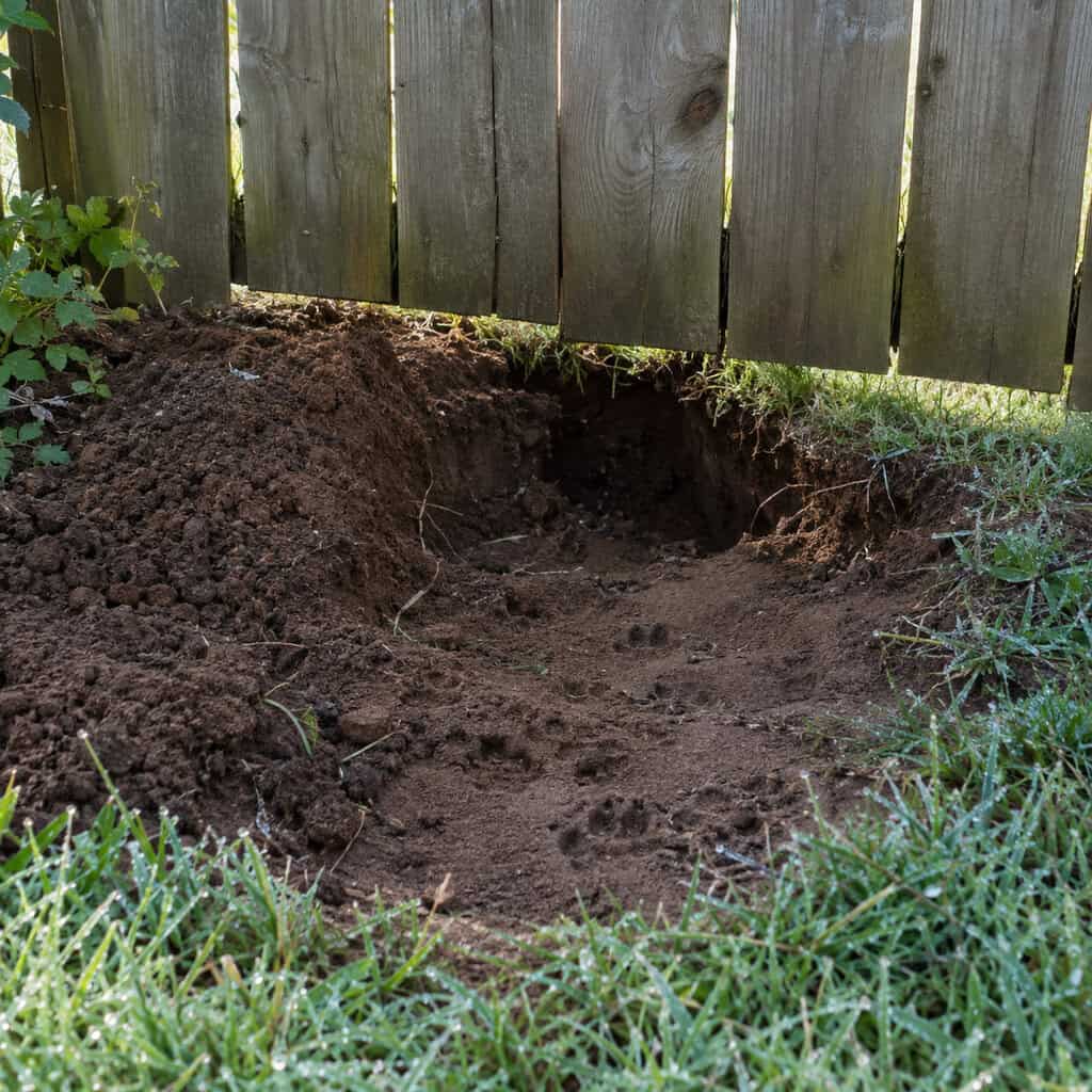 No Dig Barrier at the Bottom of a Dog Fence