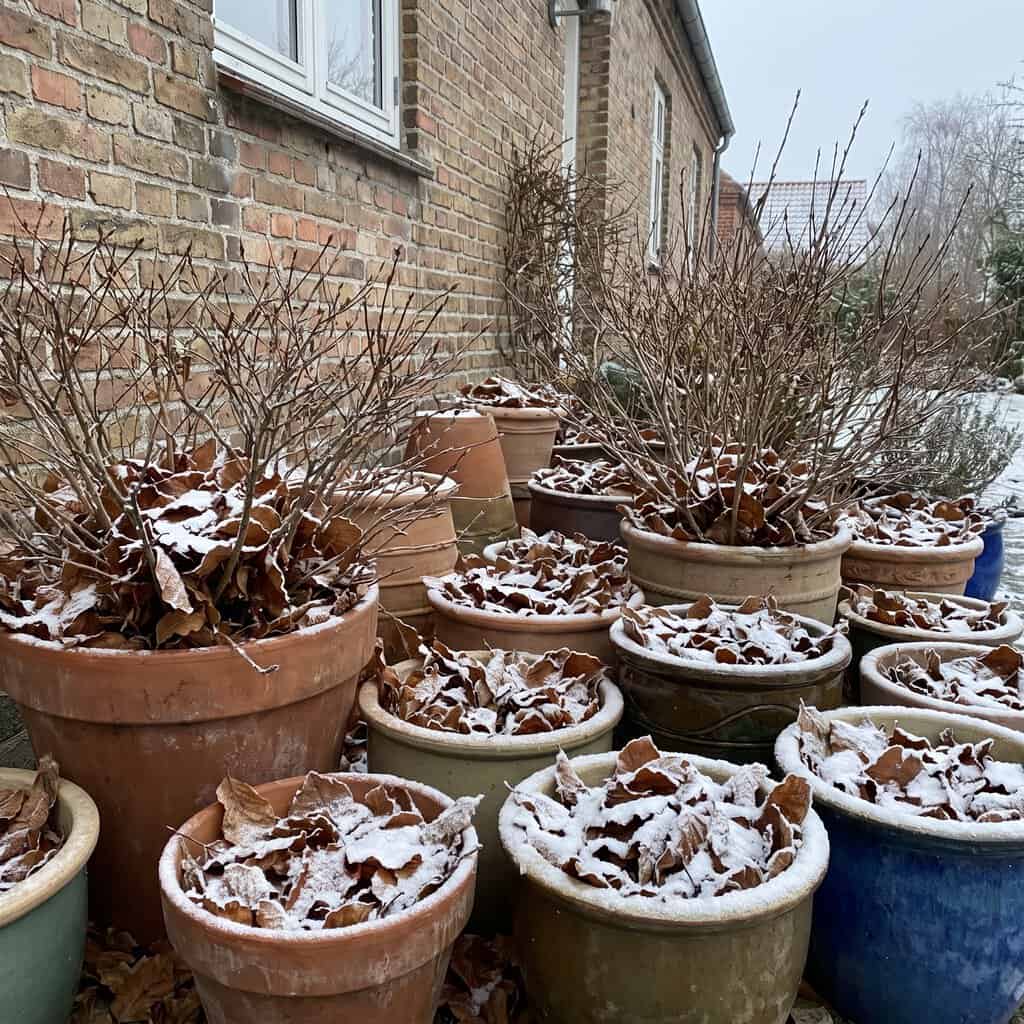 Pack and Huddle Containers for Winter