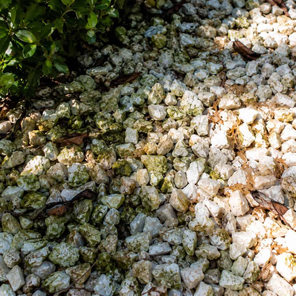 White Marble Chips