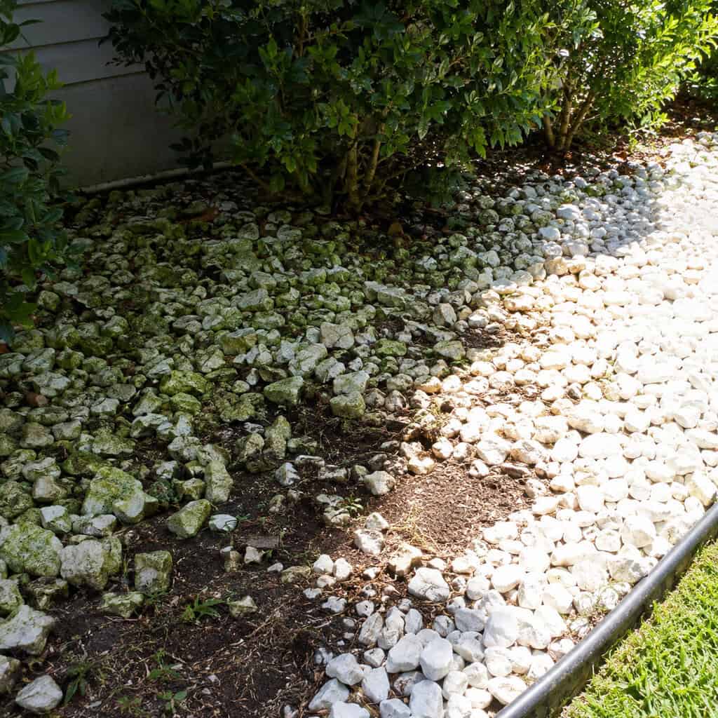 White Marble Chips and Decorative White Stone
